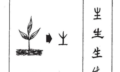 保和丸图片大全大图-保和丸是什么样子的图片专区_保和丸的图片专区_保和丸图片瓶装网